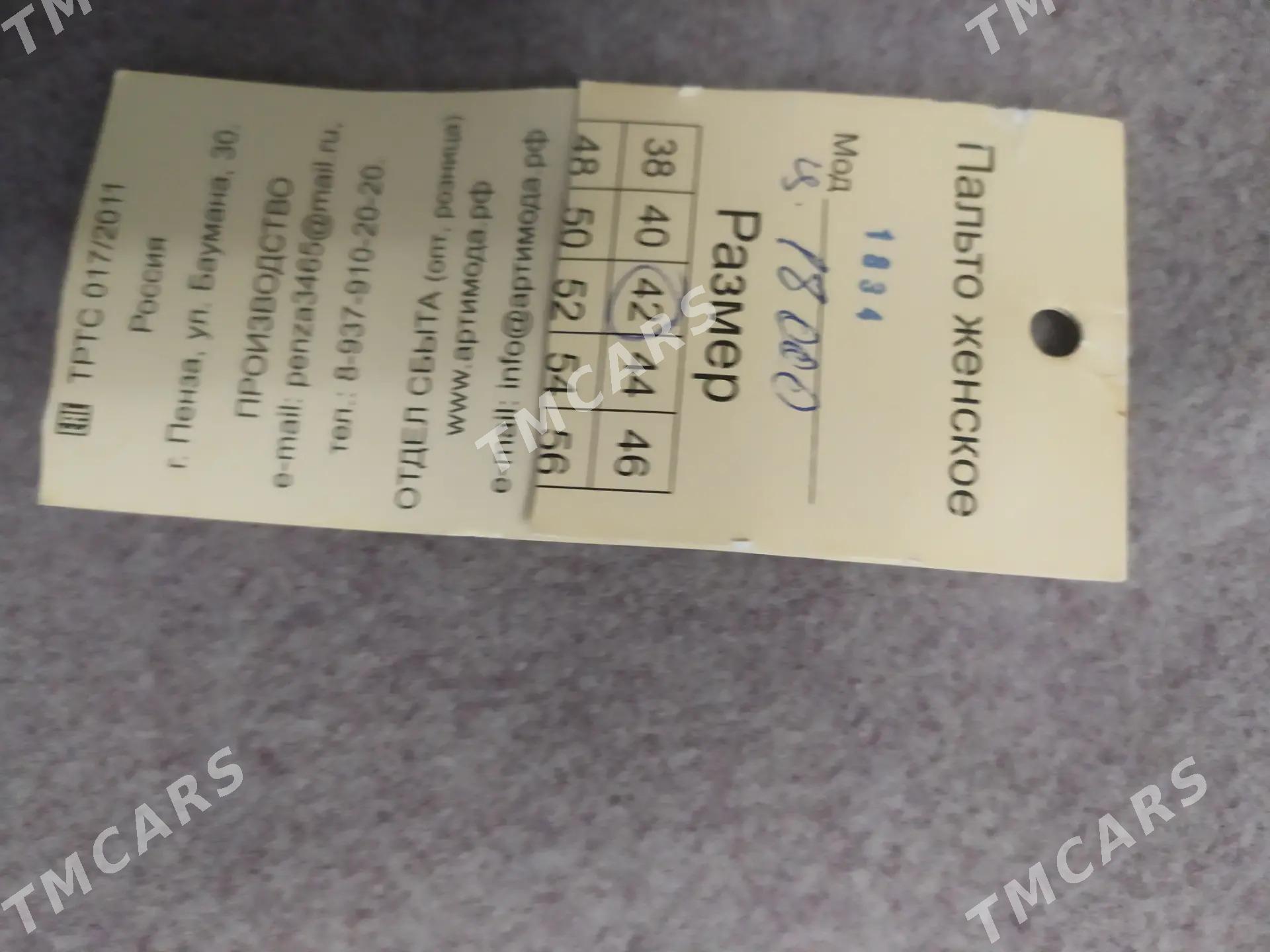 palto - Daşoguz - img 1