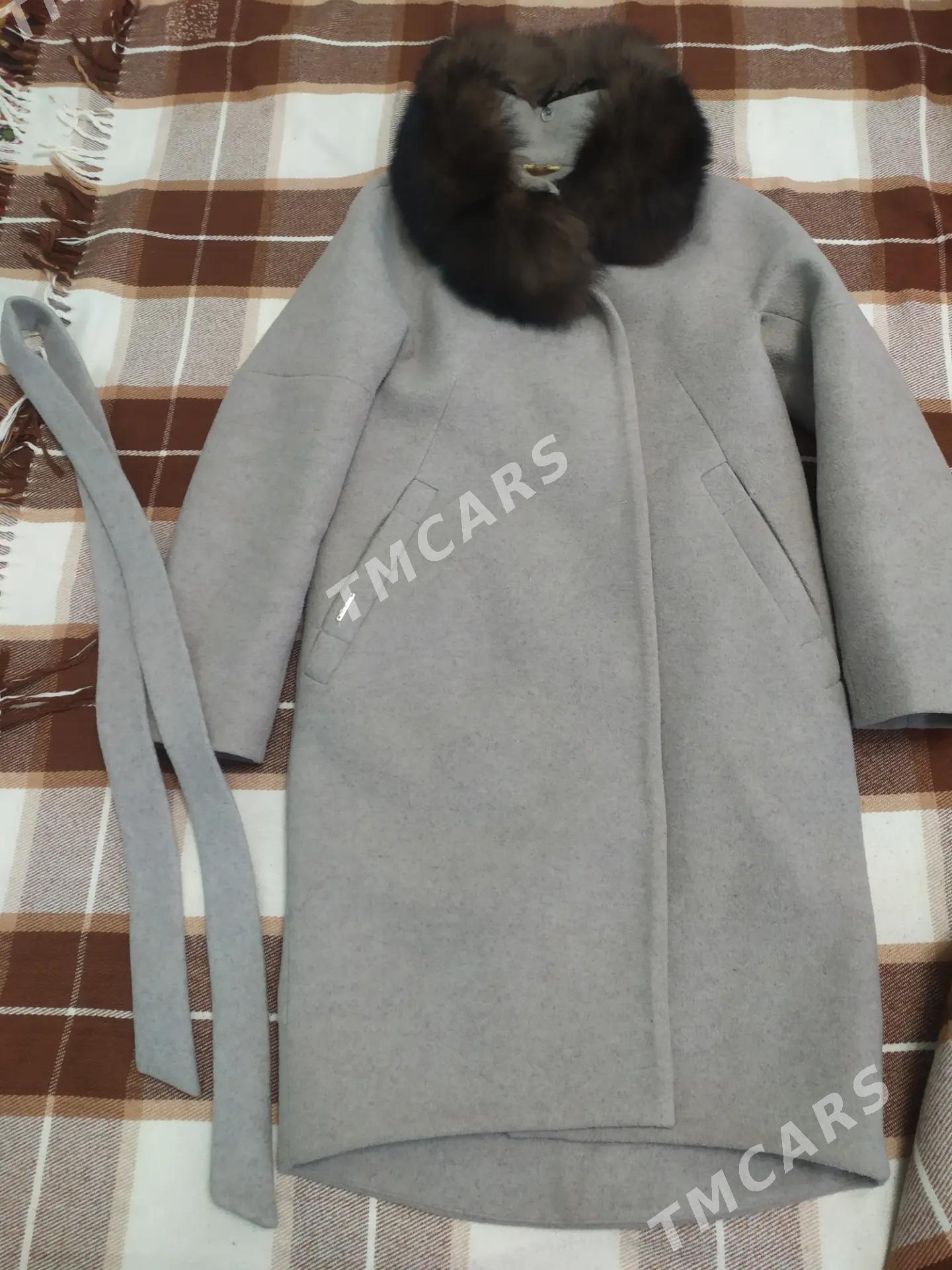 palto - Daşoguz - img 3