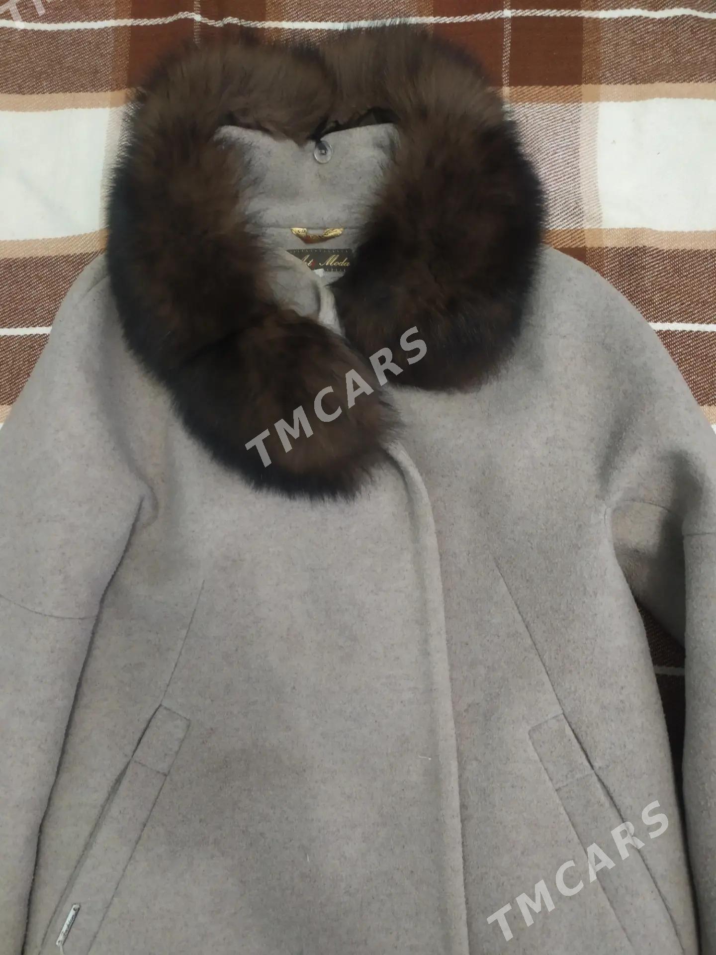 palto - Daşoguz - img 2