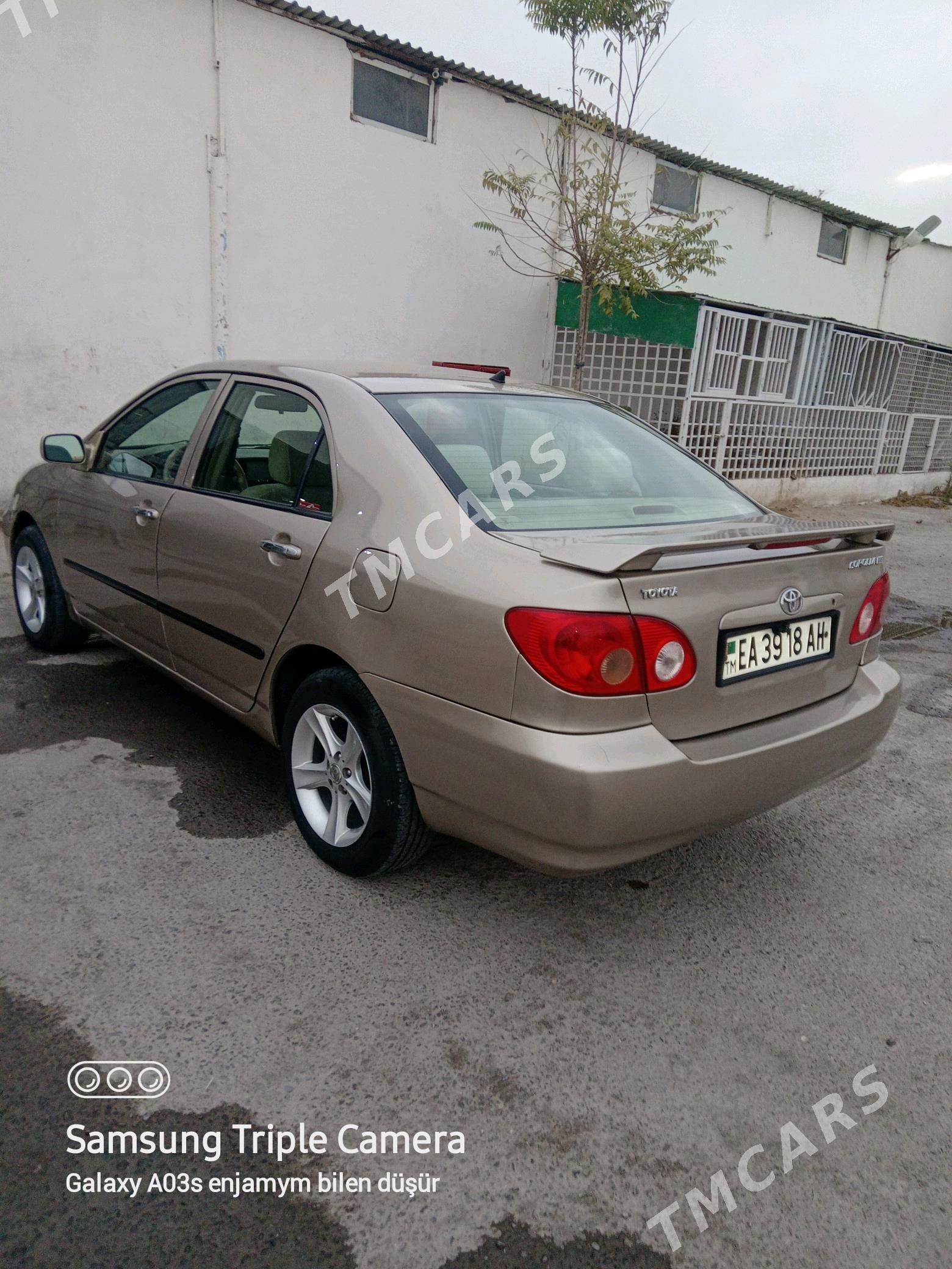 Toyota Corolla 2006 - 125 000 TMT - Herrikgala - img 5