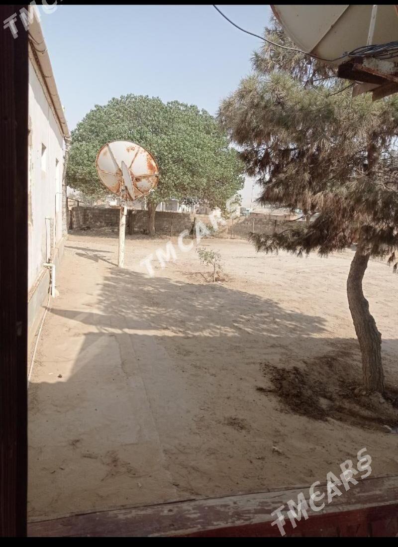 Jaý Garadepe - Esenguly - img 2