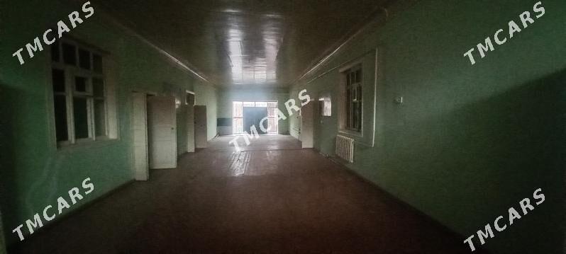 Uçaska - Daşoguz - img 2