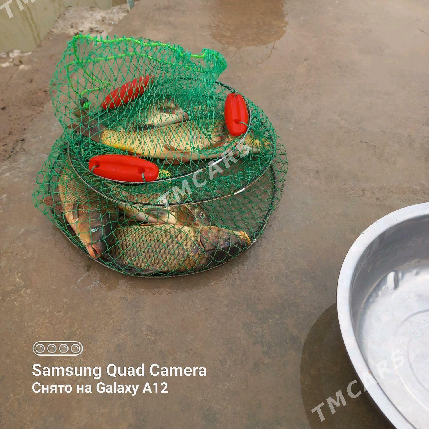 балик - Дашогуз - img 1