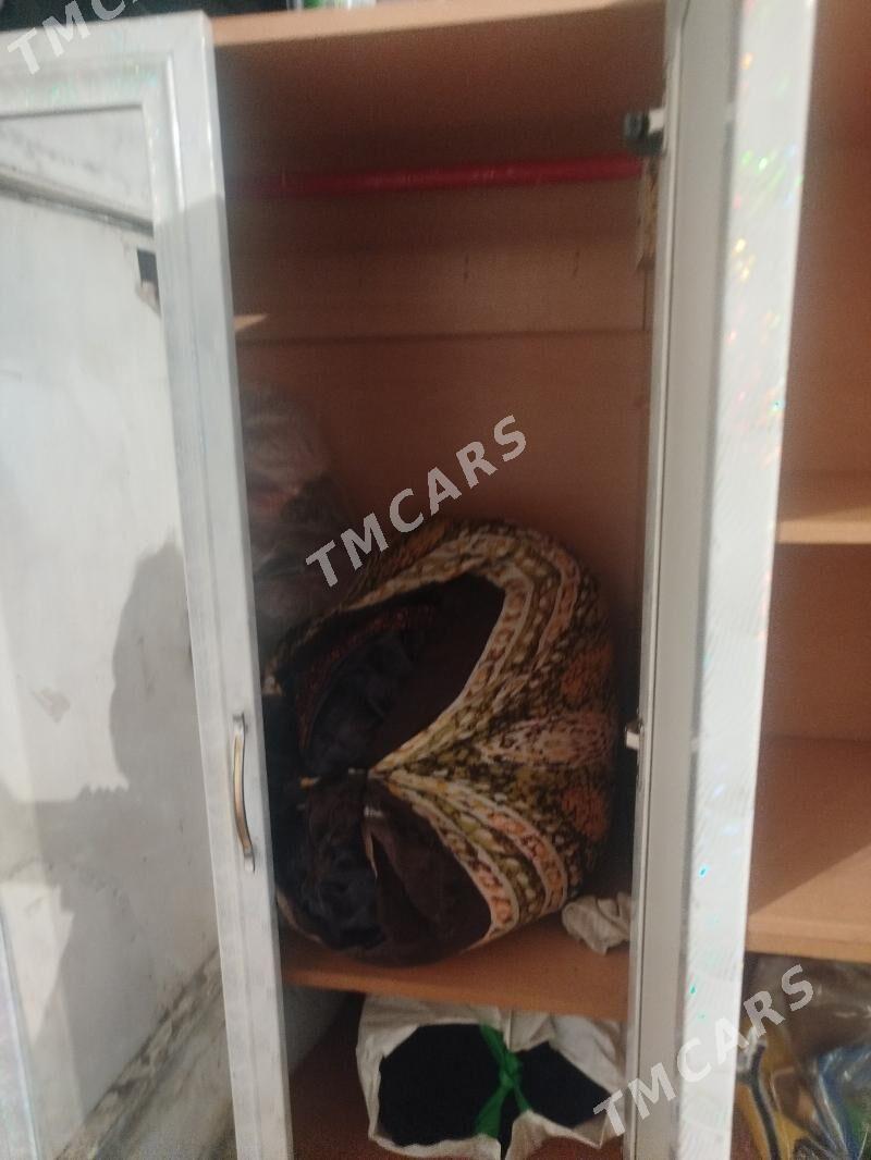 sşkaf glayas - Кëши - img 3