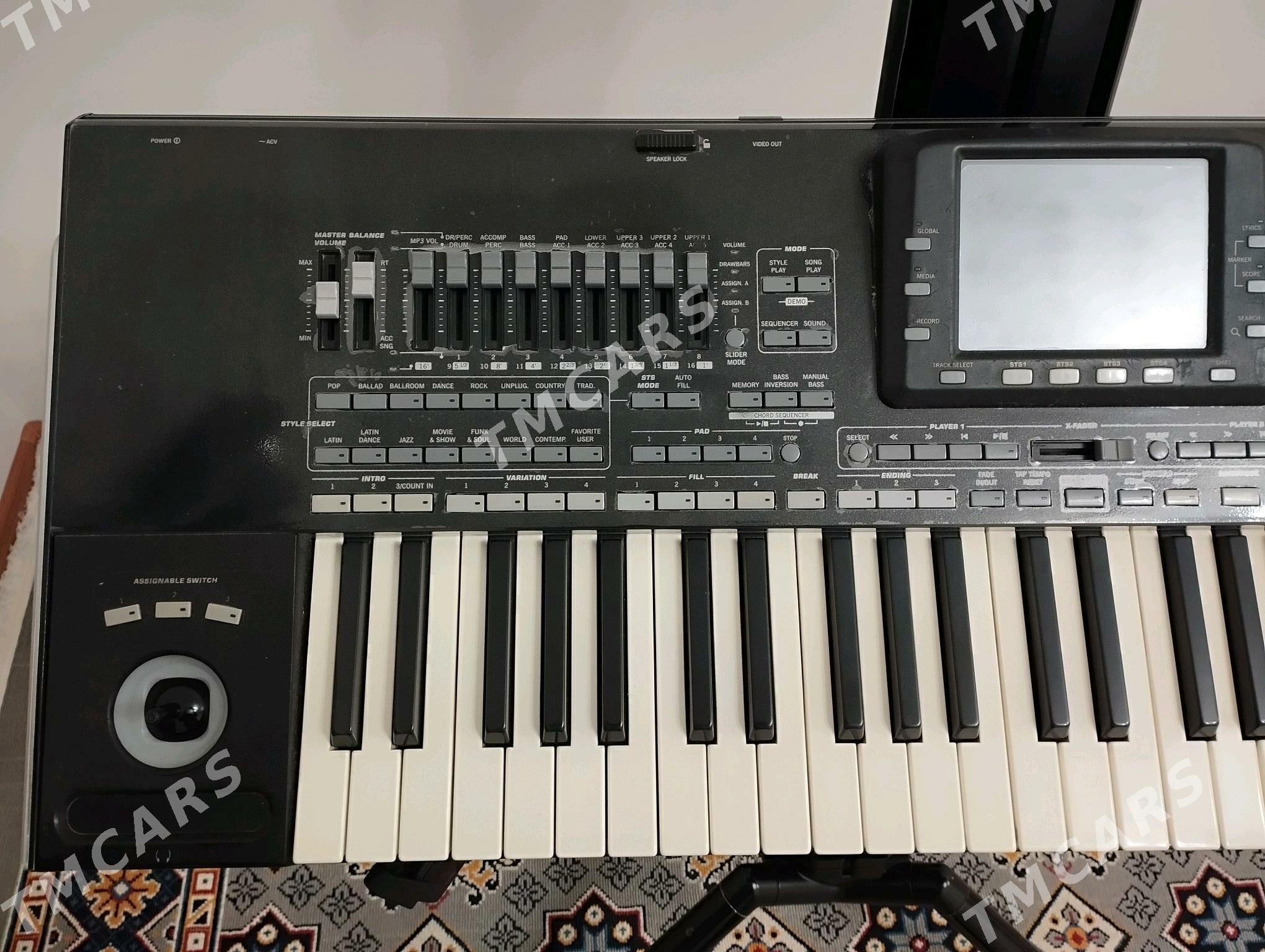 Korg pa3x 61Key 256RAM - Aşgabat - img 2
