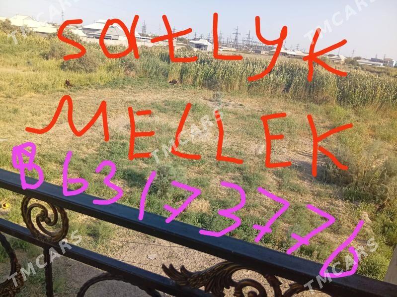 satlyk jaylar - Байрамали - img 10