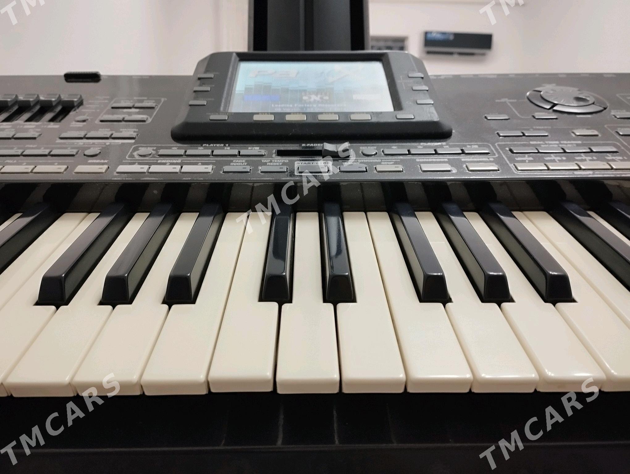 Korg pa3x 61Key 256RAM - Aşgabat - img 10