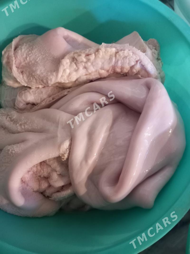 Гарын  арассаланан. - Garadamak - img 1