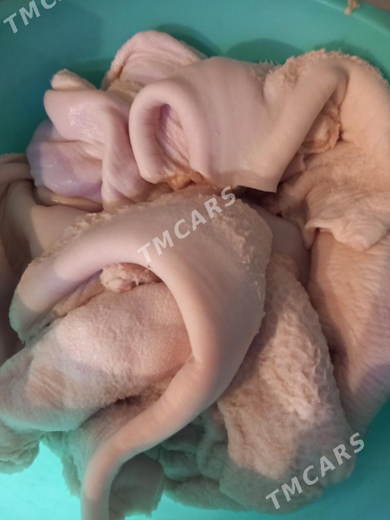 Гарын  арассаланан. - Garadamak - img 5