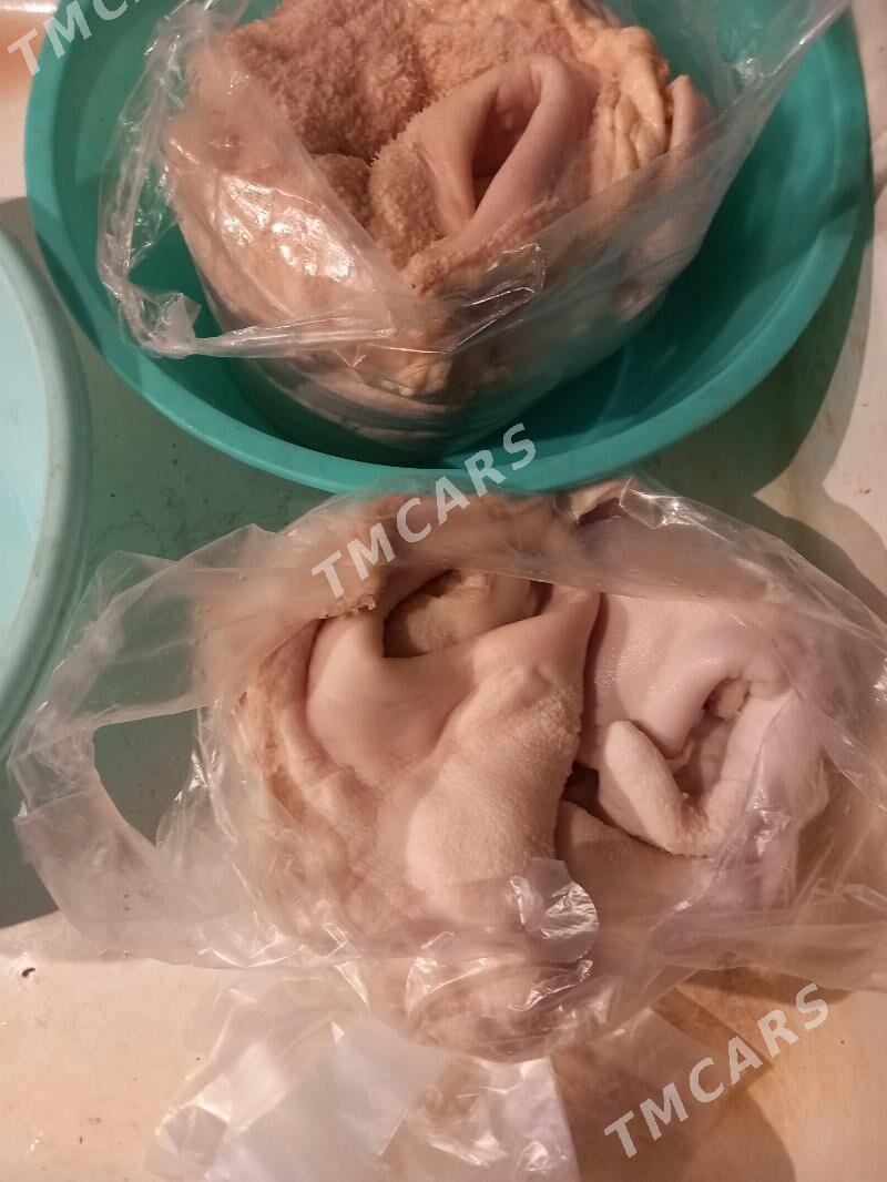 Гарын  арассаланан. - Garadamak - img 7