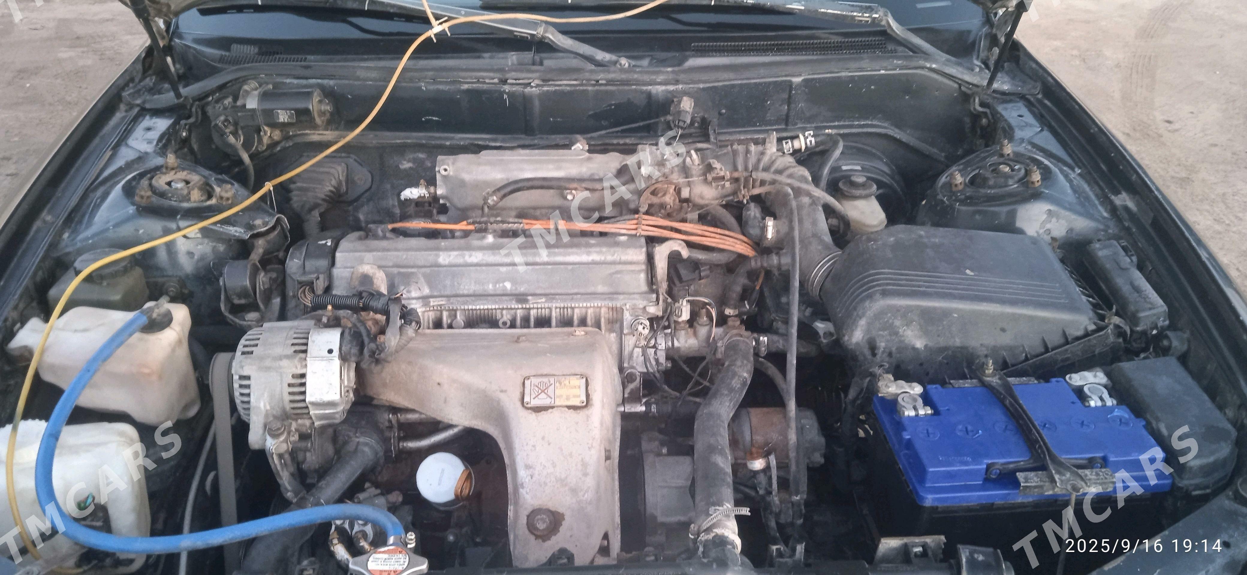 Toyota Camry 1993 - 80 000 TMT - Кёнеургенч - img 3