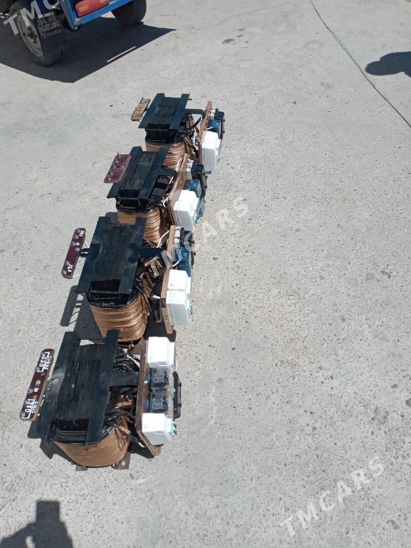 tok kòpòltýän - Sakarçäge - img 6