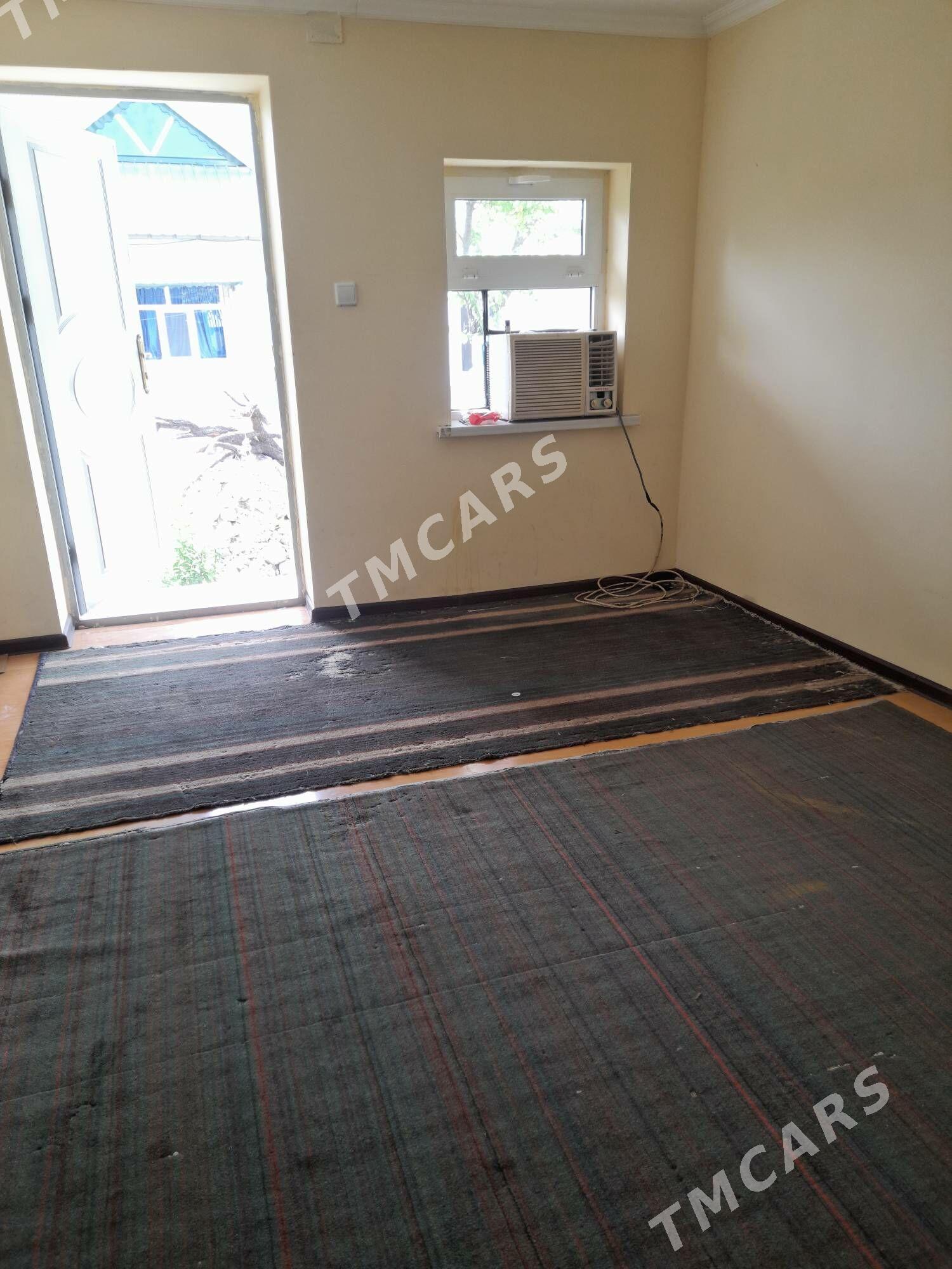 Arenda jay - Gökje - img 3