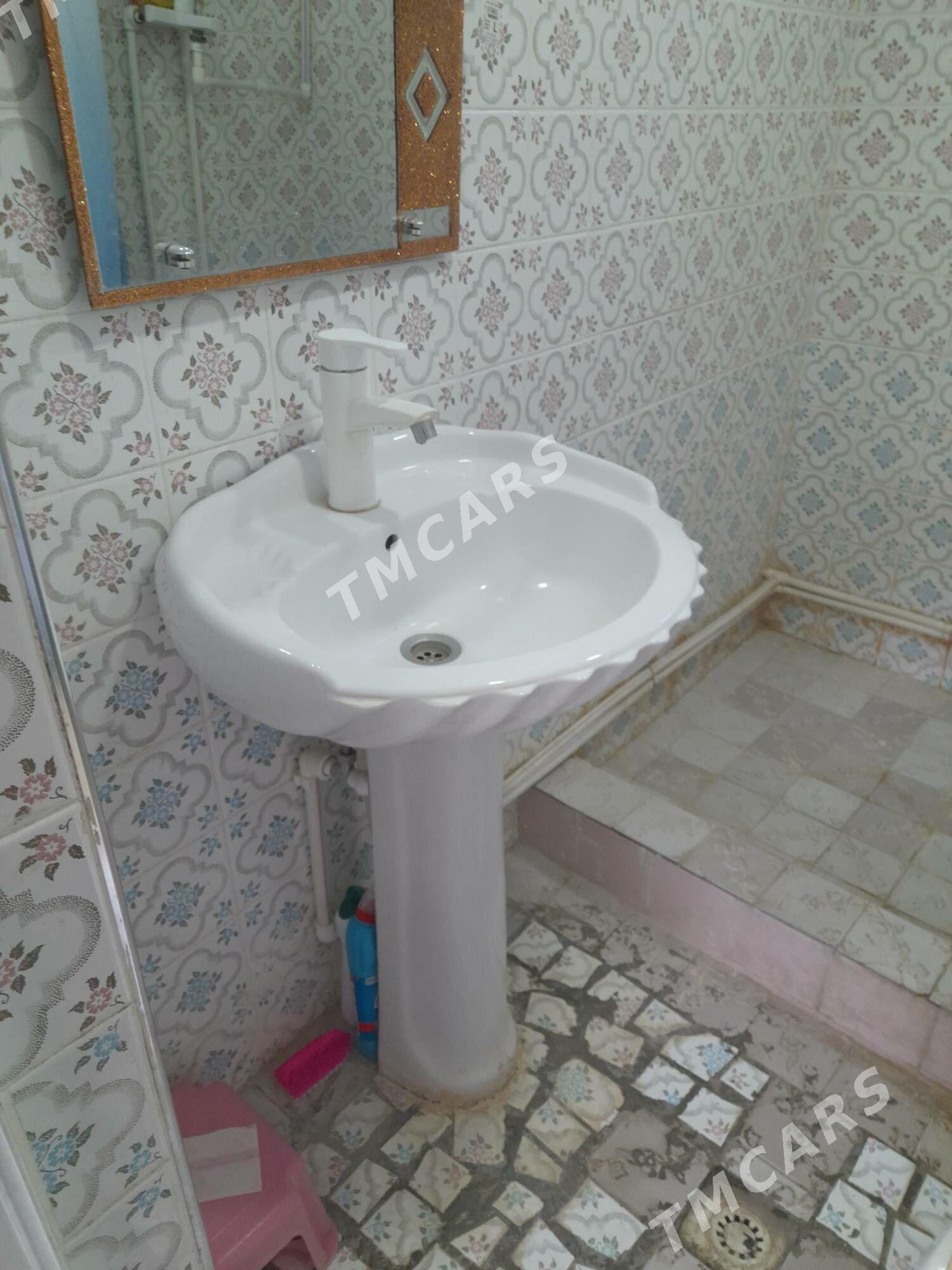 Arenda jay - Gökje - img 2