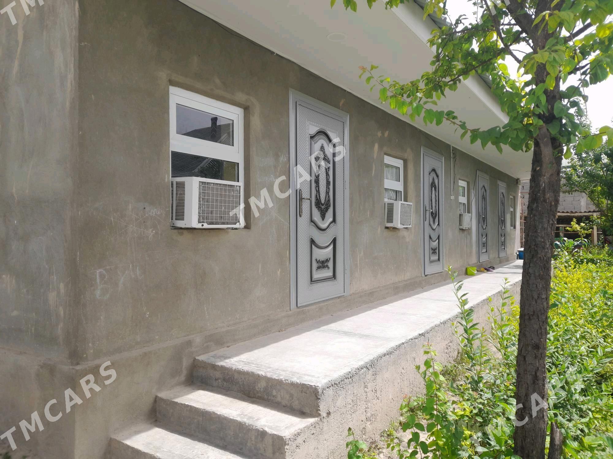 Arenda jay - Gökje - img 6