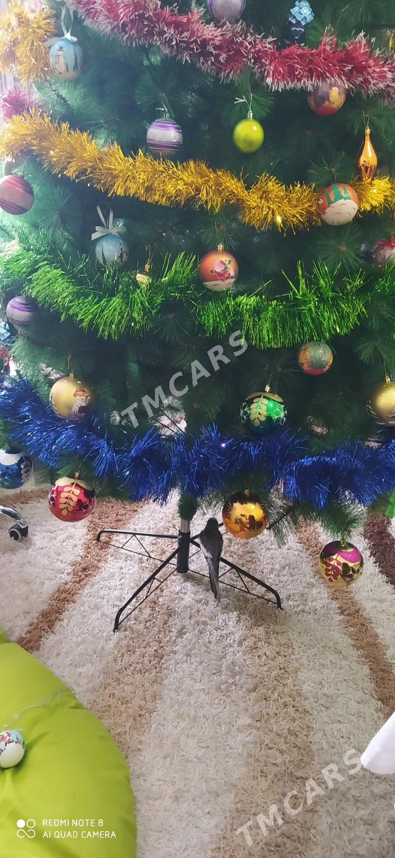 елка 280см - Aşgabat - img 2