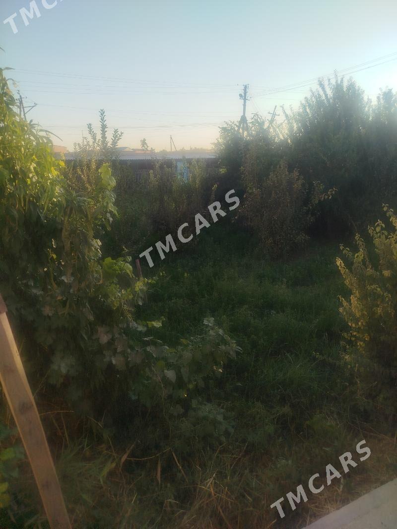 Продаю дачу15 автопарк коровни - Туркменабат - img 3