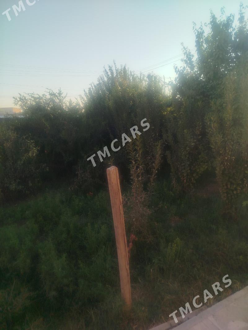 Продаю дачу15 автопарк коровни - Туркменабат - img 10