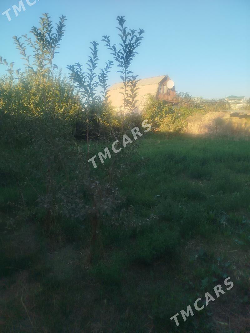 Продаю дачу15 автопарк коровни - Туркменабат - img 9