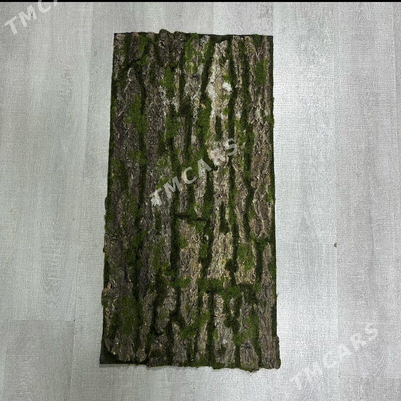 Bezeg ot, gül, moh, agaç - Ашхабад - img 5