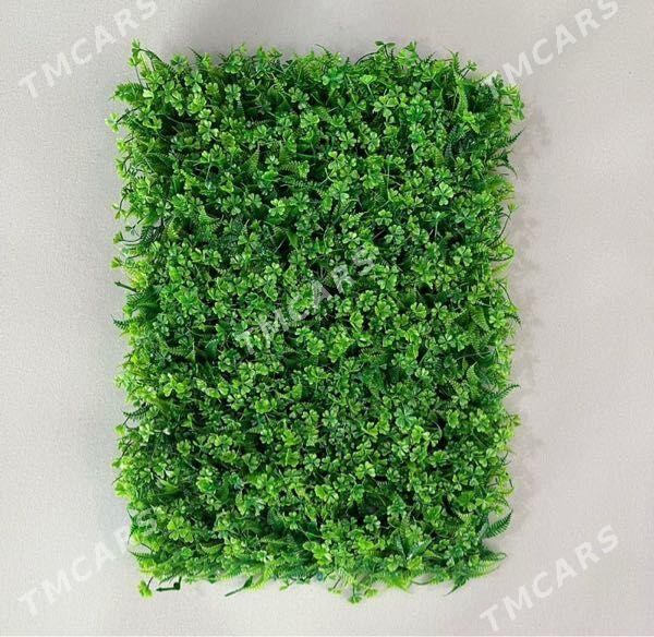 Bezeg ot, gül, moh, agaç - Ашхабад - img 1