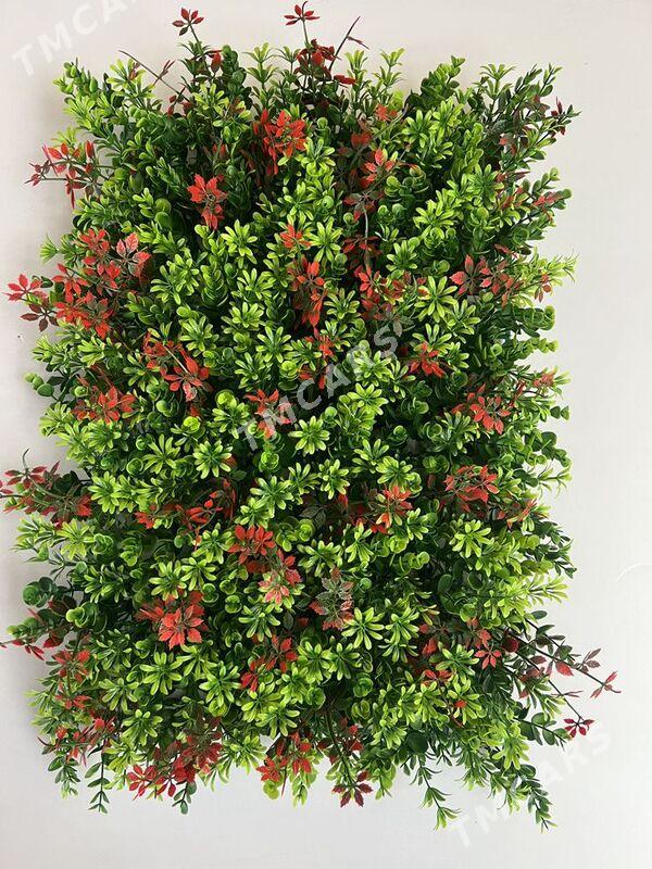 Bezeg ot, gül, moh, agaç - Ашхабад - img 4