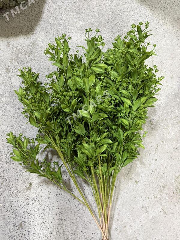 Bezeg ot, gül, moh, agaç - Ашхабад - img 8