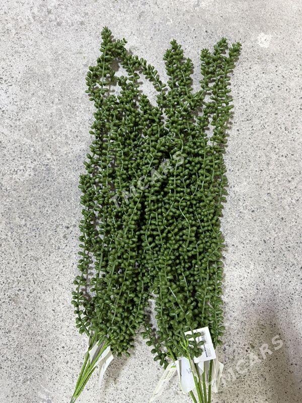 Bezeg ot, gül, moh, agaç - Ашхабад - img 7