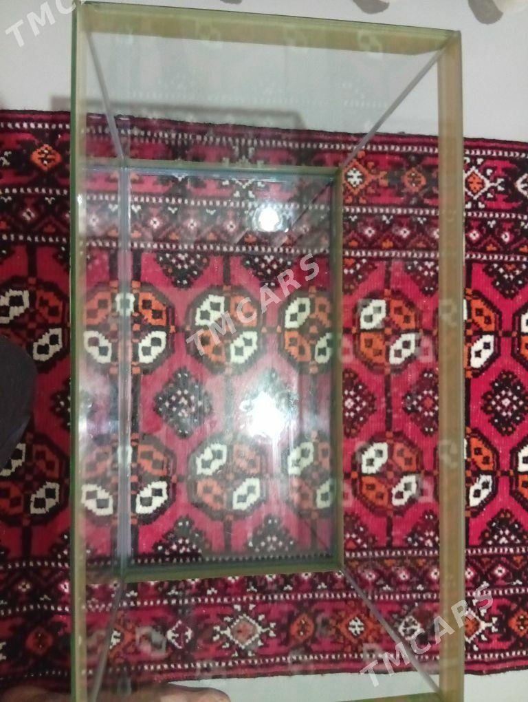 аквариум - Aşgabat - img 2