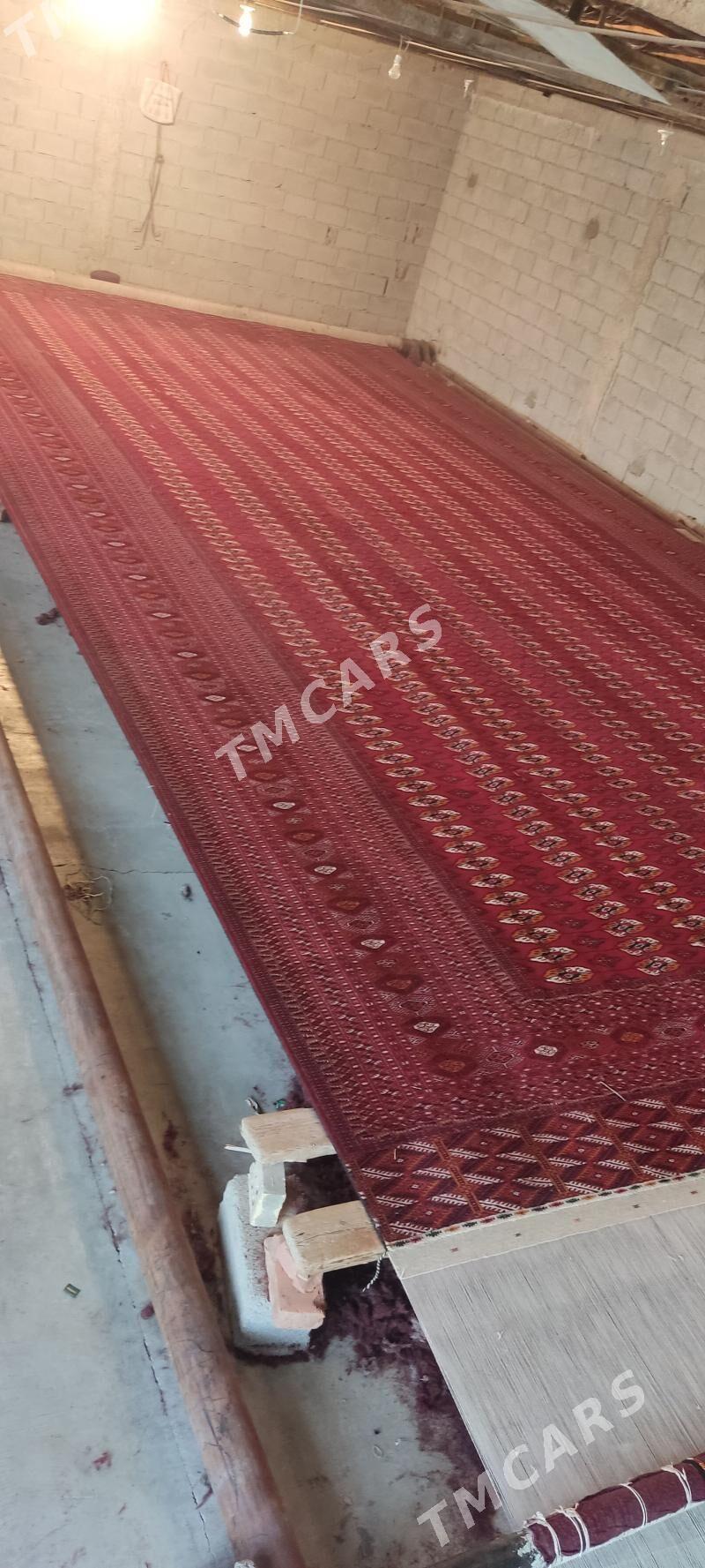 el haly 5.50/11 - Bäherden - img 2