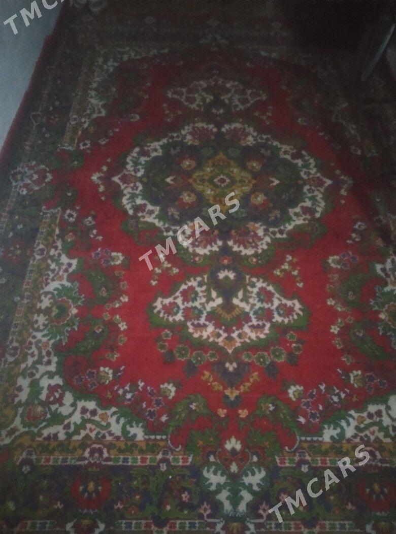 haly - Balkanabat - img 1