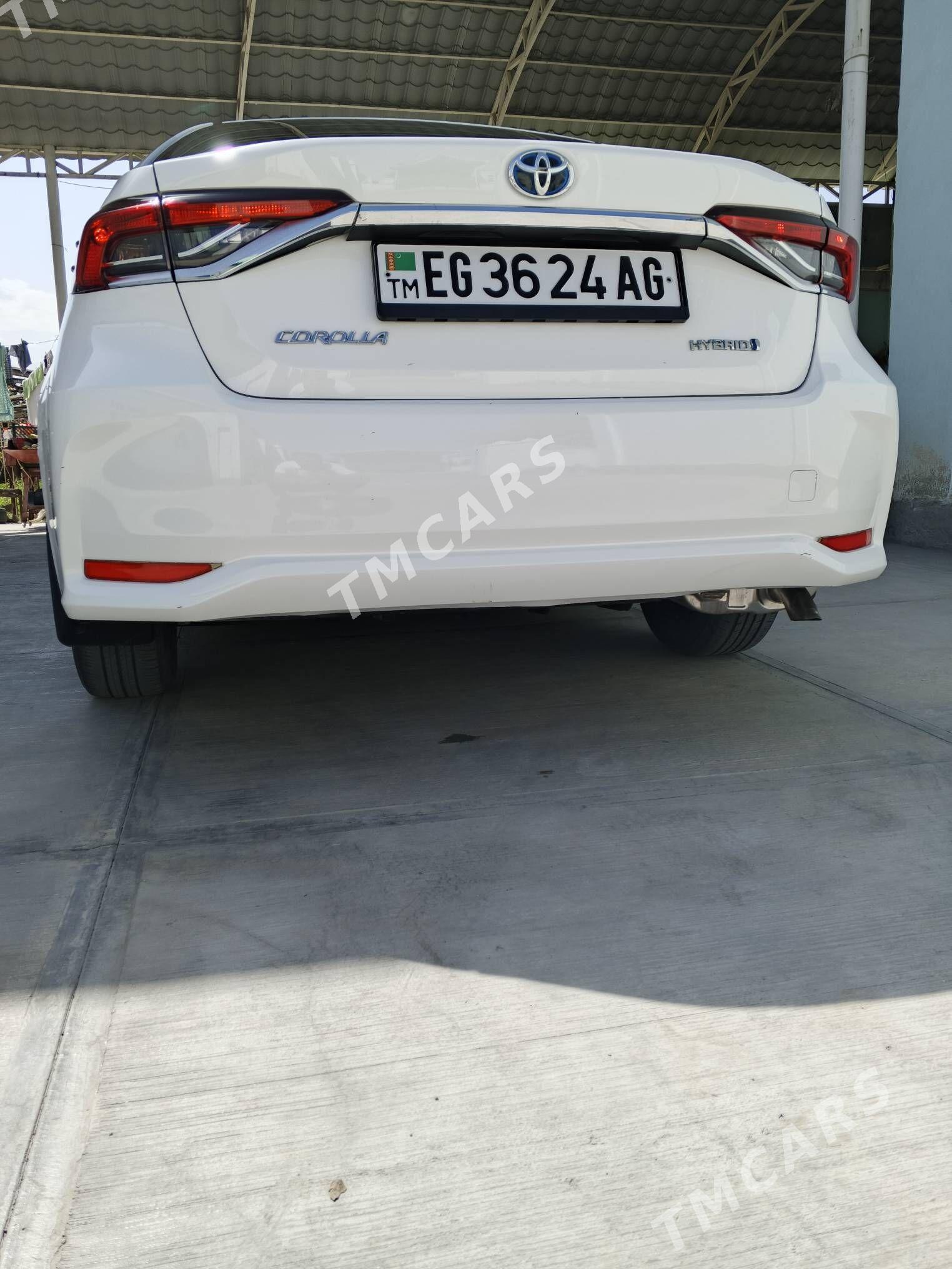 Toyota Corolla 2023 - 255 000 TMT - Кипджак - img 3