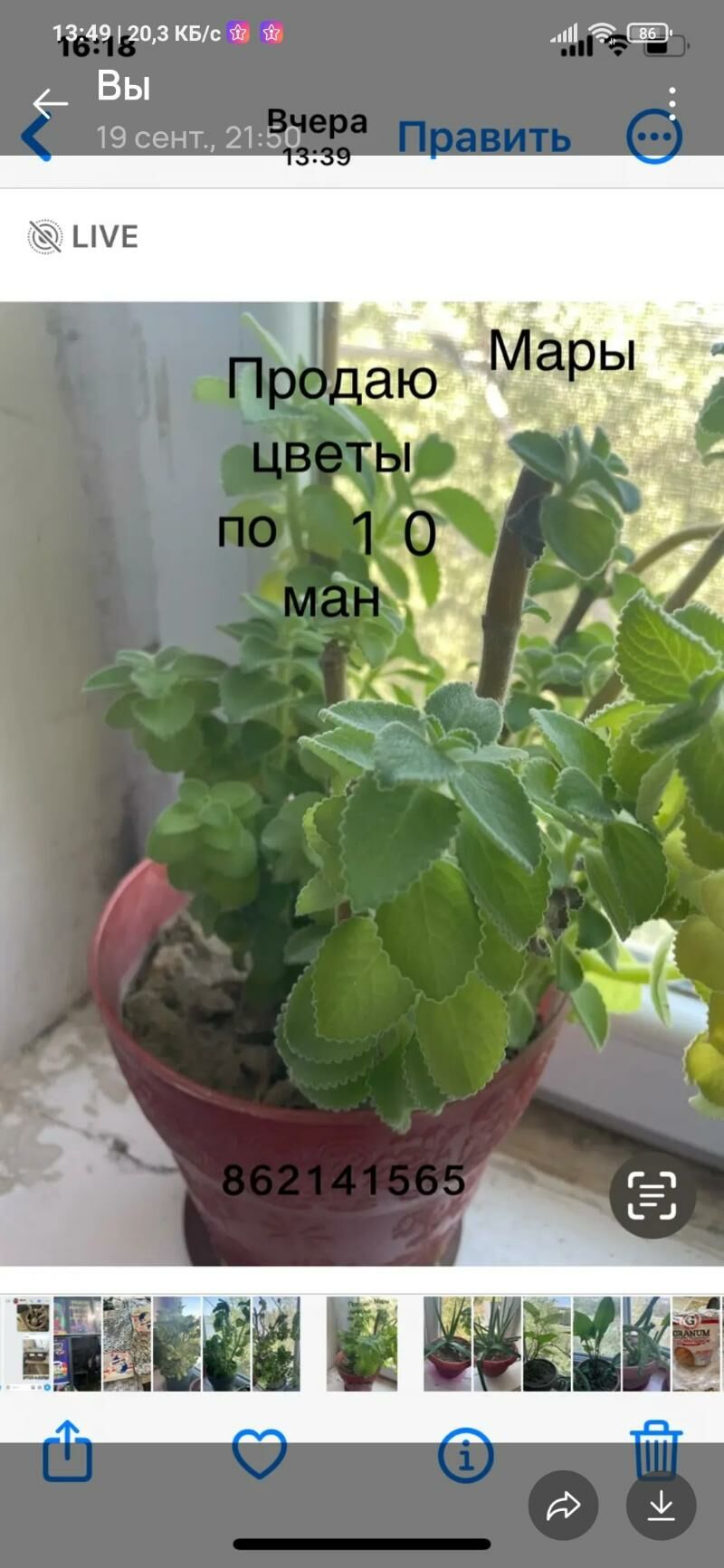 Цветы для дома - Mary - img 5