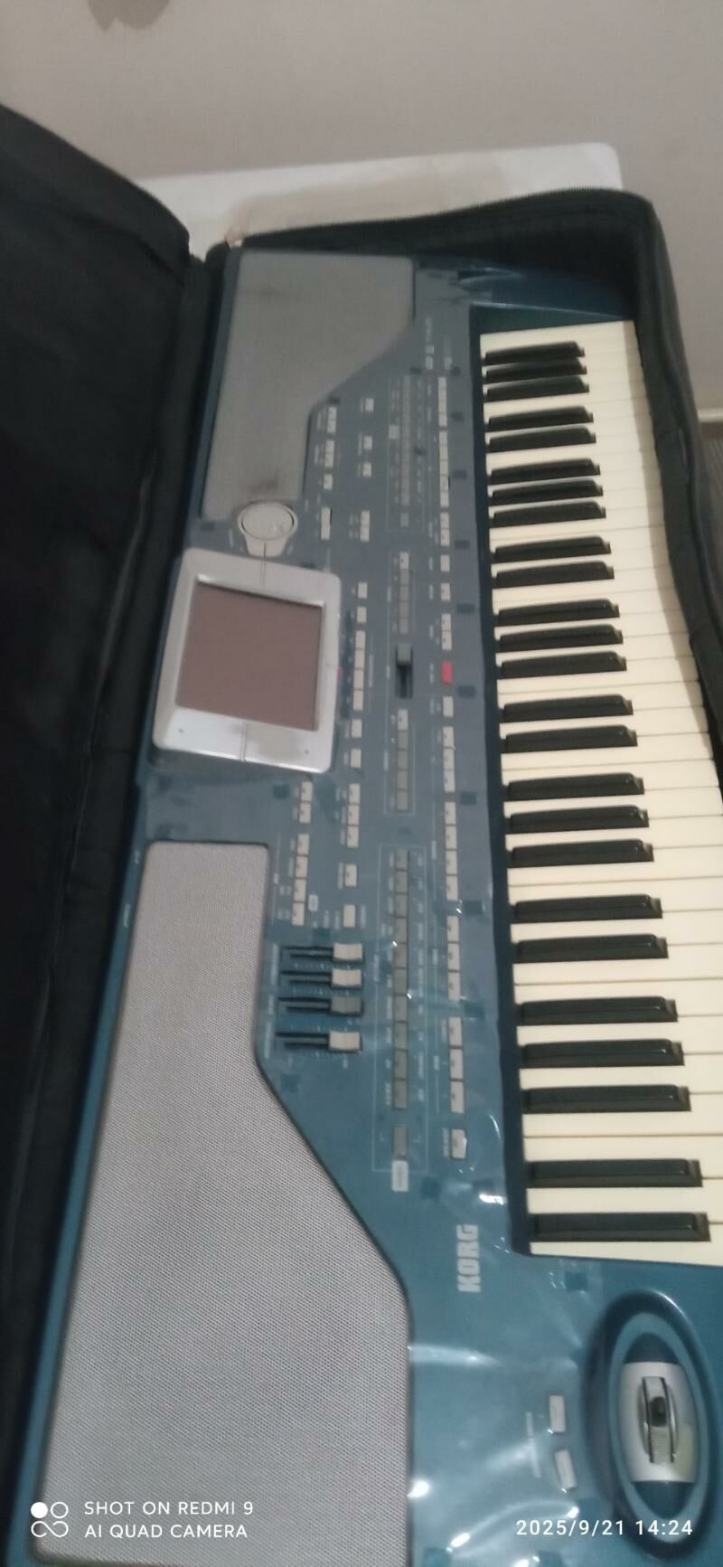 korg pa 800 - Туркменабат - img 1