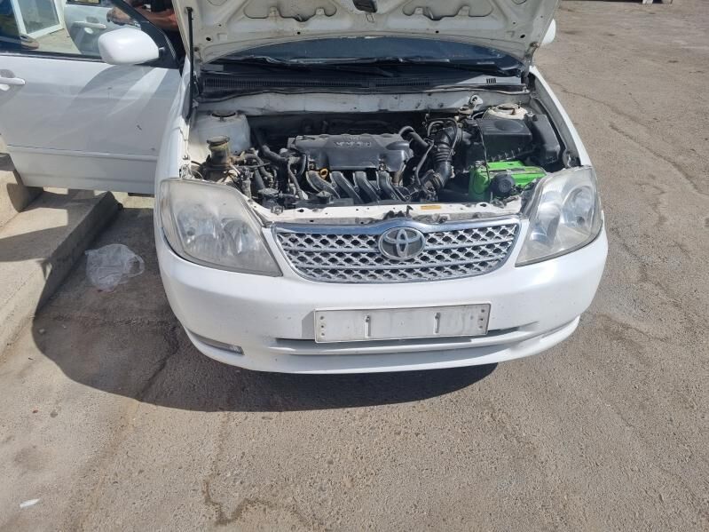 Corolla haliji morda angar 200 TMT - Änew - img 2
