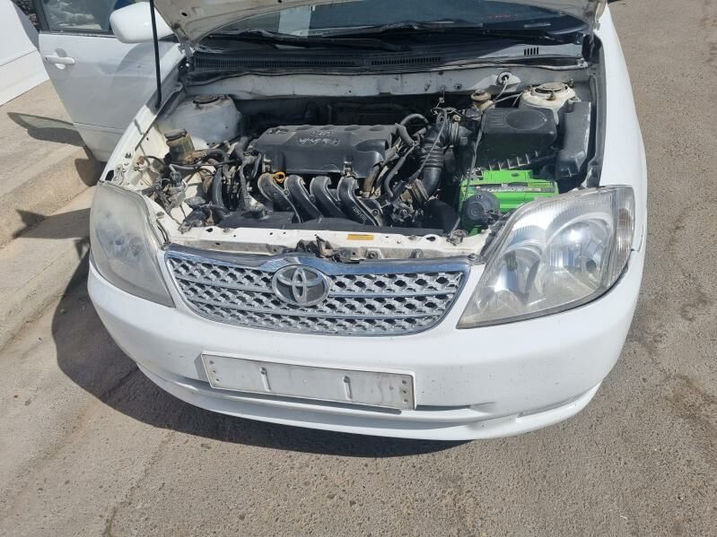 Corolla haliji morda angar 200 TMT - Änew - img 3