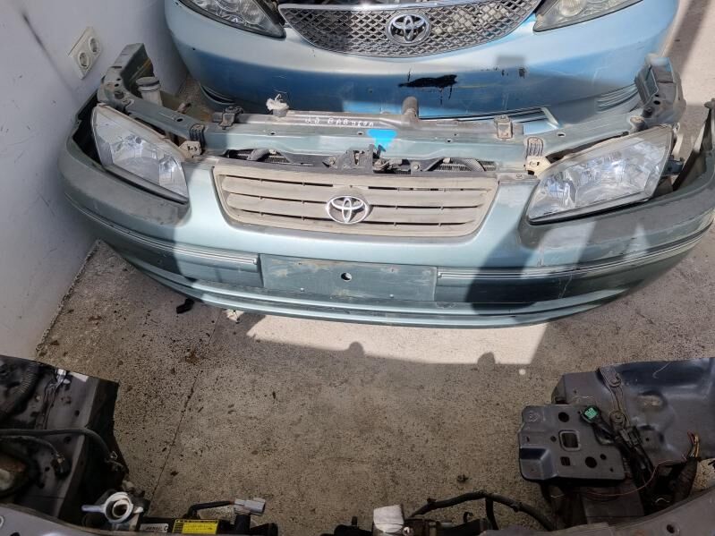 Babycga kelte mordasy 200 TMT - Änew - img 3