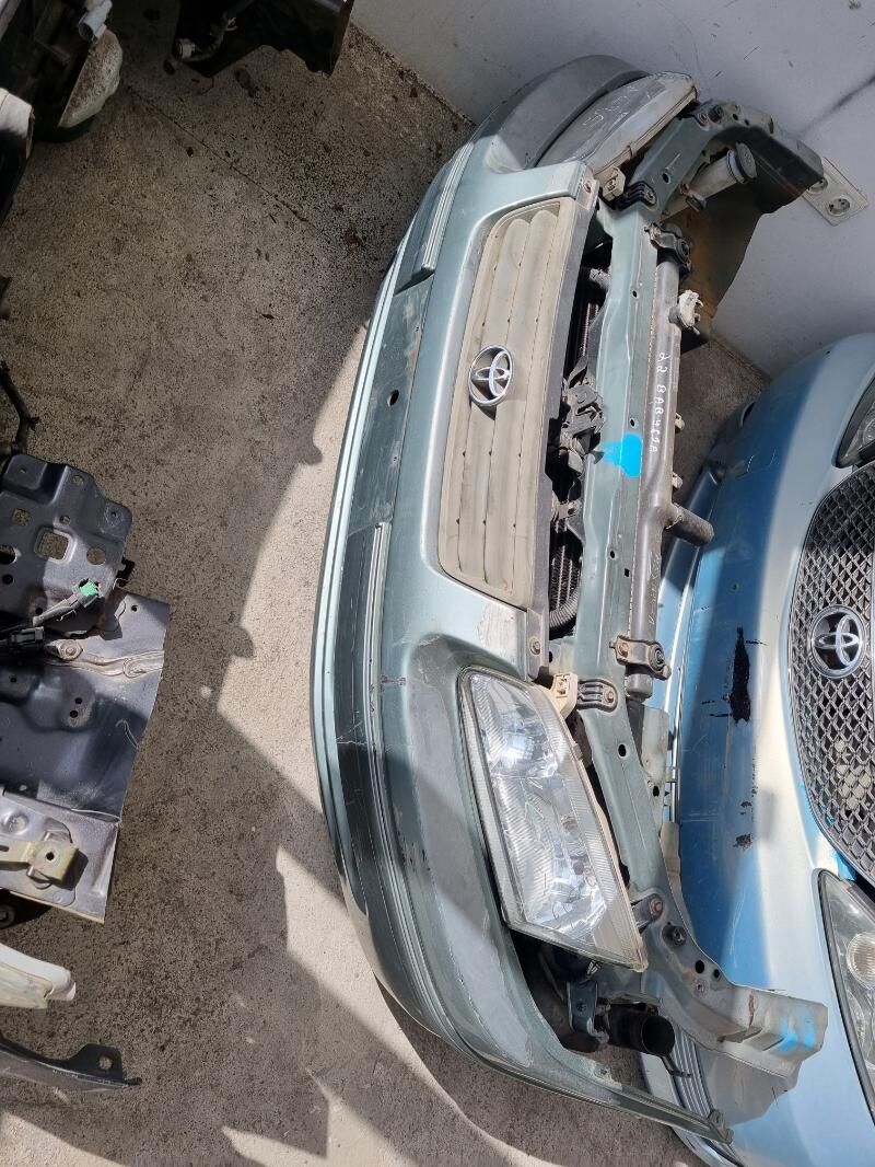 Babycga kelte mordasy 200 TMT - Änew - img 4