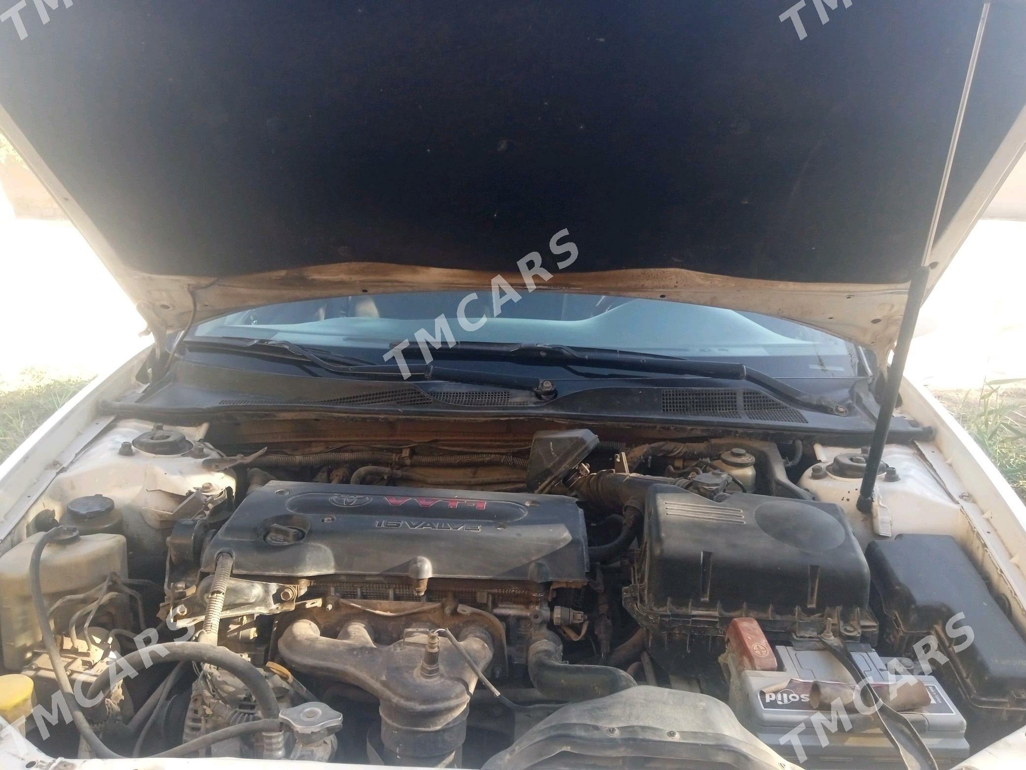 Toyota Camry 2005 - 120 000 TMT - Akdepe - img 4