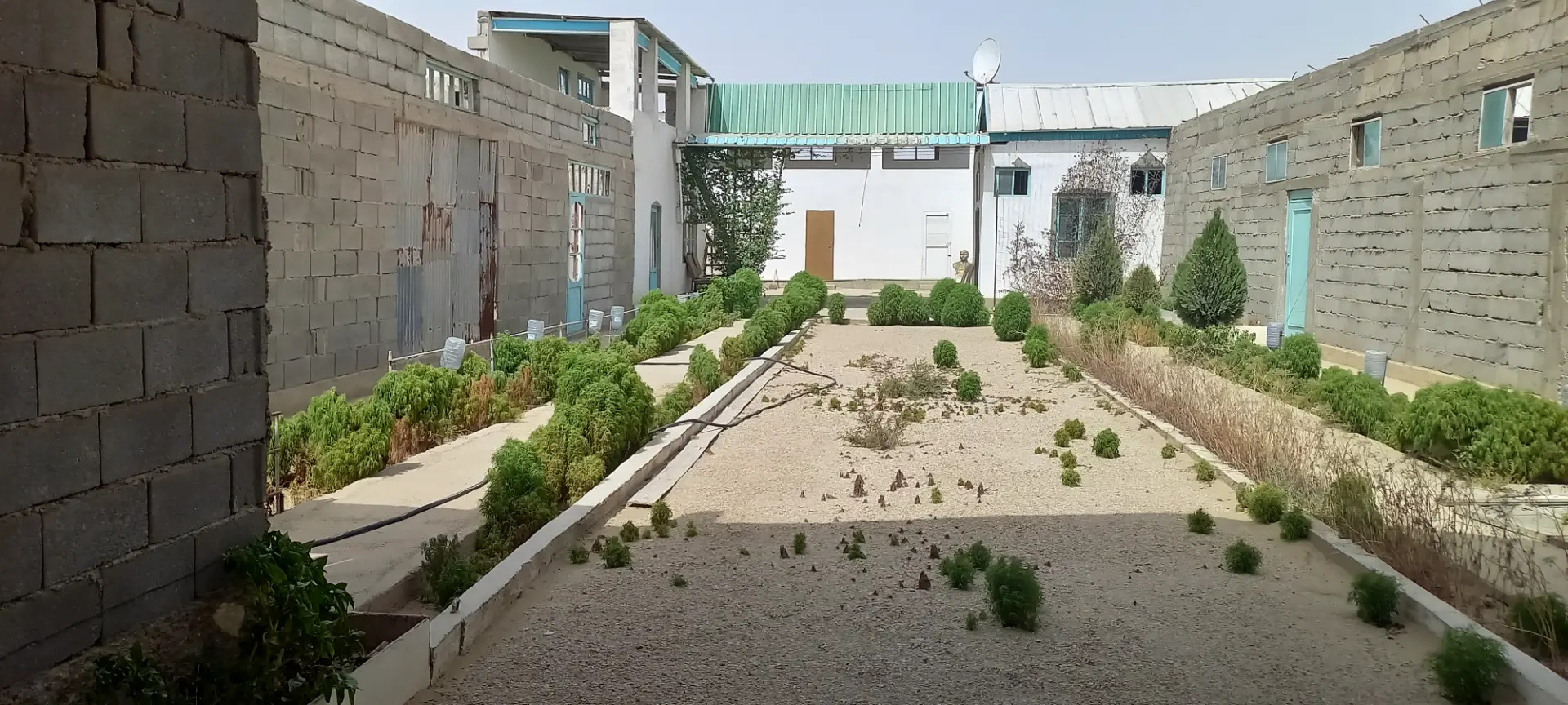 satlyk jay - Туркменбаши - img 2