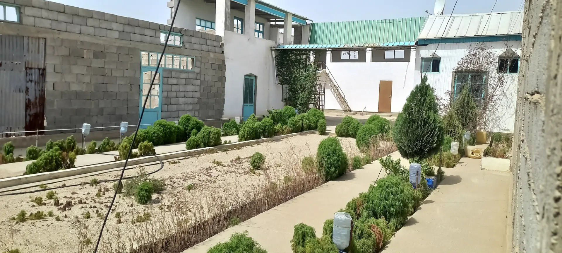 satlyk jay - Туркменбаши - img 7