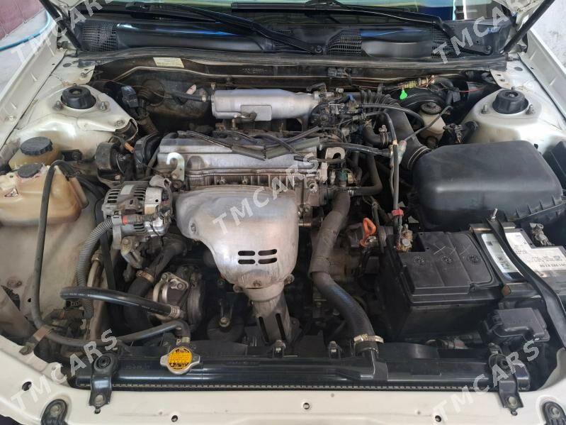 Toyota Camry 2001 - 160 000 TMT - Ашхабад - img 5