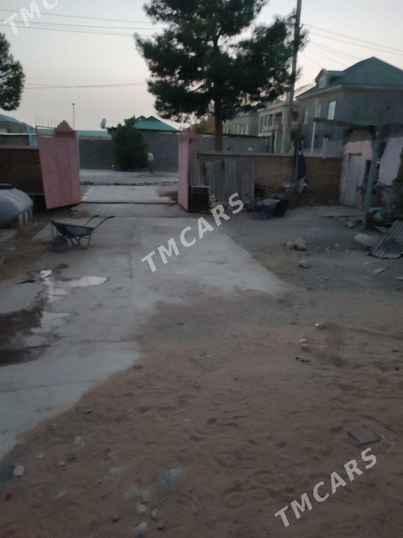 Taze Gâmi satlyk - Ak bugdaý etraby - img 3