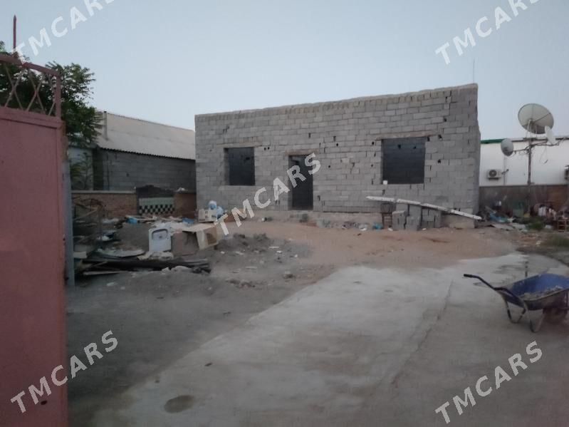 Taze Gâmi satlyk - Ak bugdaý etraby - img 5