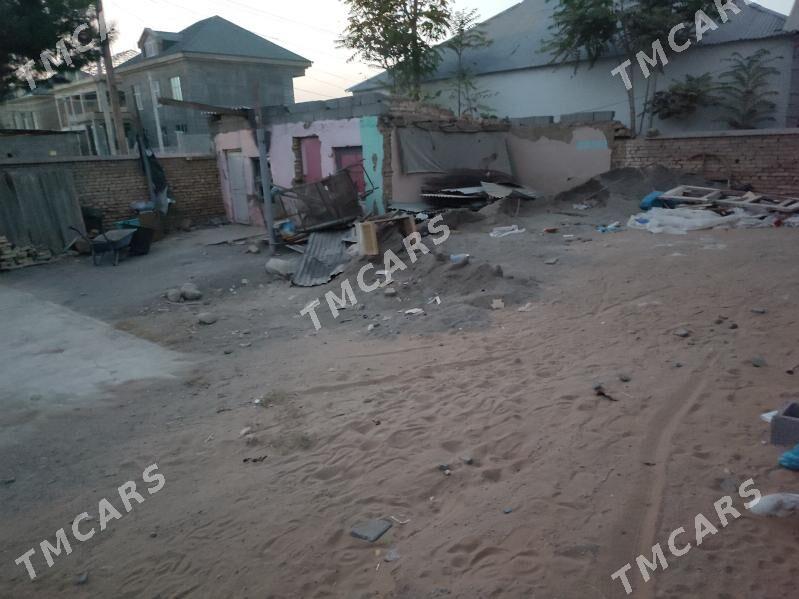 Taze Gâmi satlyk - Ak bugdaý etraby - img 4