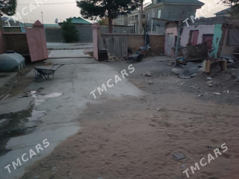 Taze Gâmi satlyk - Ak bugdaý etraby - img 2