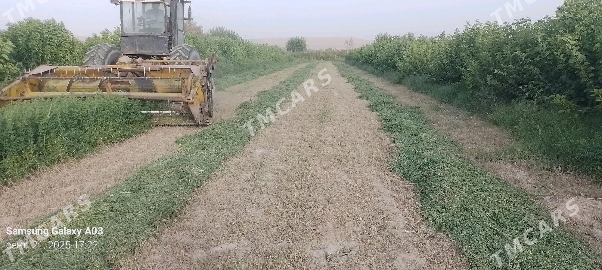 MTZ T-28 2025 - 90 000 TMT - Фарап - img 2