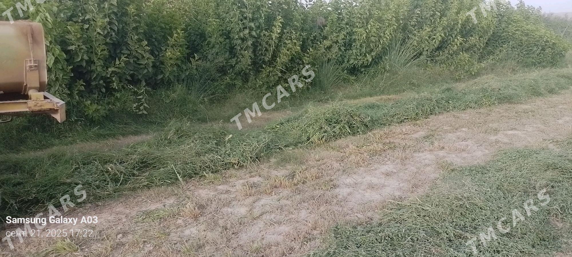 MTZ T-28 2025 - 90 000 TMT - Фарап - img 3