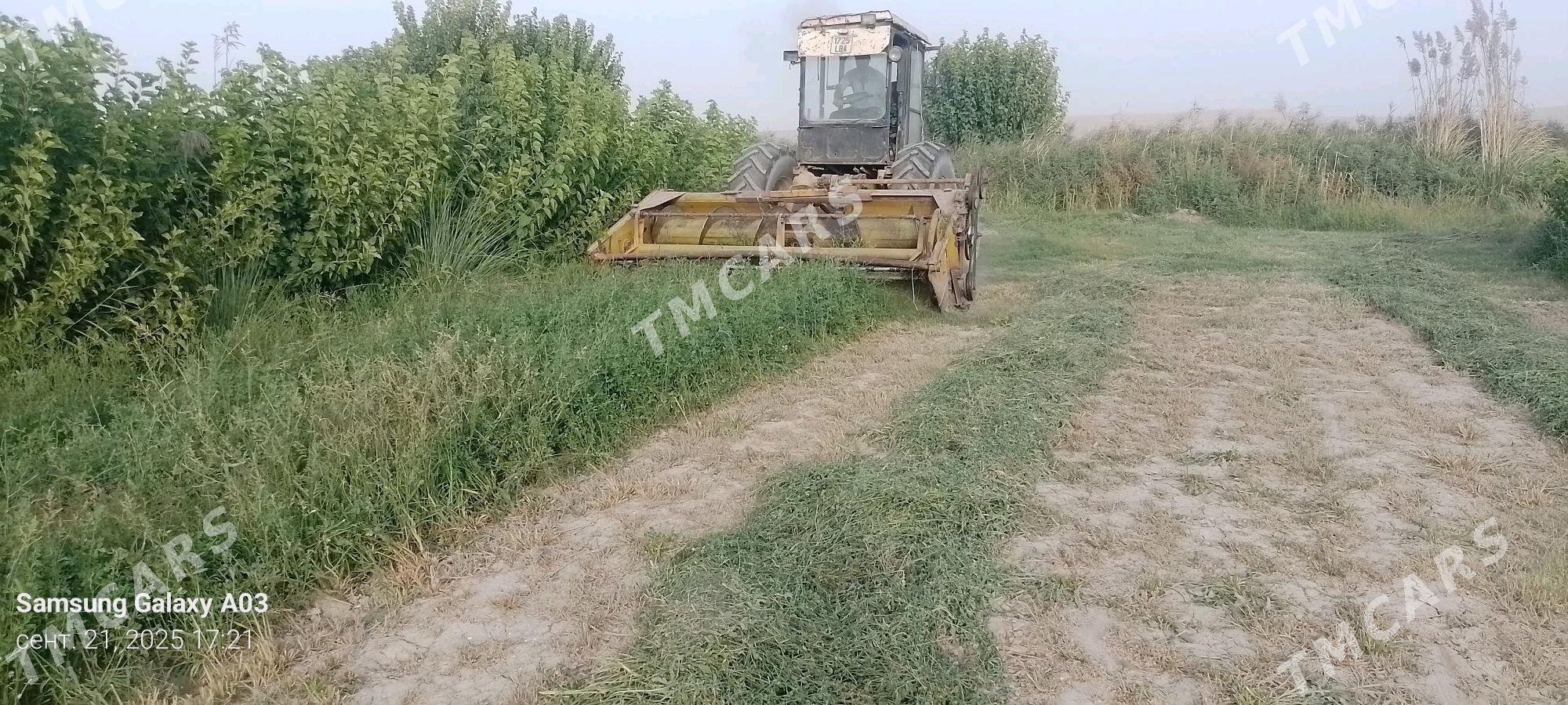 MTZ T-28 2025 - 90 000 TMT - Фарап - img 5