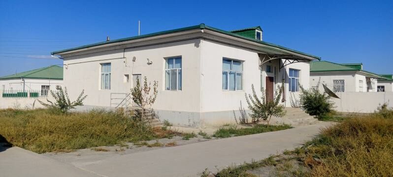 Şorgala - Гёкдепе - img 7